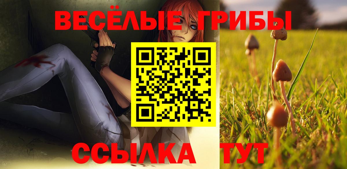Галлюциногенные грибы мицелий Томск