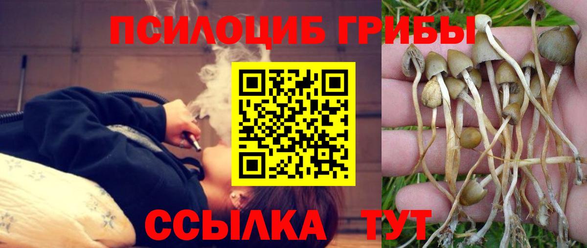 Псилоцибиновые грибы мицелий  Вход с VPN  Псилоцибиновые грибы Magic Shrooms  Томск 
